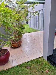 Huit (D26), Terrace #439969621